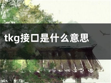 tkg接口是什么意思