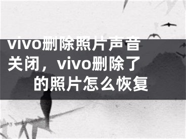 vivo刪除照片聲音關(guān)閉，vivo刪除了的照片怎么恢復(fù)