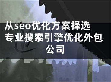 從seo優(yōu)化方案擇選專業(yè)搜索引擎優(yōu)化外包公司