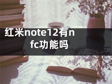 紅米note12有nfc功能嗎