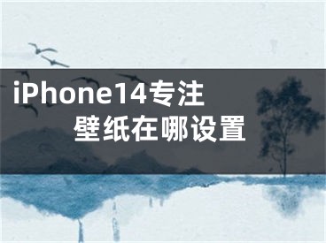 iPhone14專注壁紙?jiān)谀脑O(shè)置