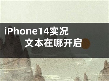 iPhone14實(shí)況文本在哪開(kāi)啟