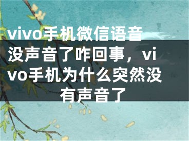 vivo手機(jī)微信語音沒聲音了咋回事，vivo手機(jī)為什么突然沒有聲音了