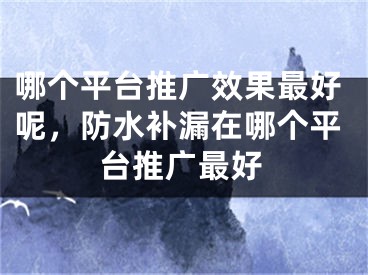 哪個(gè)平臺(tái)推廣效果最好呢，防水補(bǔ)漏在哪個(gè)平臺(tái)推廣最好