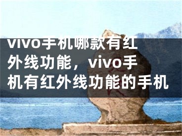 vivo手機(jī)哪款有紅外線功能，vivo手機(jī)有紅外線功能的手機(jī)