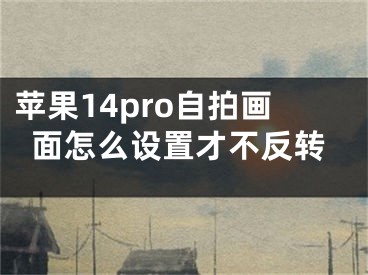 蘋果14pro自拍畫面怎么設(shè)置才不反轉(zhuǎn)