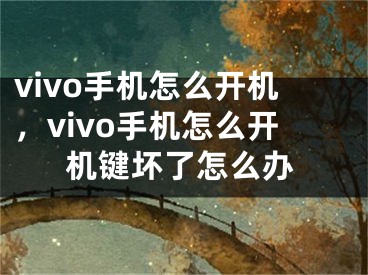 vivo手機怎么開機，vivo手機怎么開機鍵壞了怎么辦