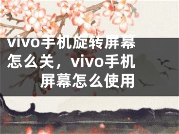 vivo手機(jī)旋轉(zhuǎn)屏幕怎么關(guān)，vivo手機(jī)屏幕怎么使用