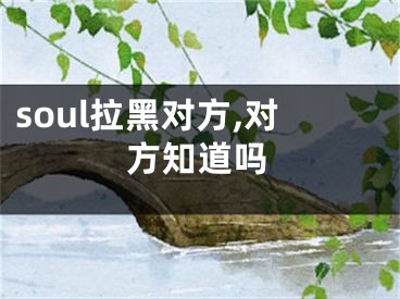 soul拉黑對方,對方知道嗎