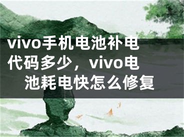 vivo手機(jī)電池補(bǔ)電代碼多少，vivo電池耗電快怎么修復(fù)