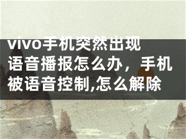 vivo手機突然出現(xiàn)語音播報怎么辦，手機被語音控制,怎么解除