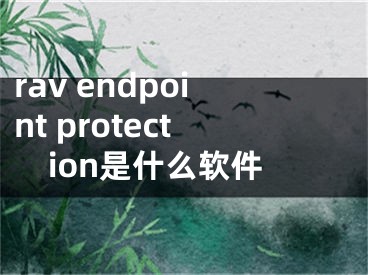 rav endpoint protection是什么軟件