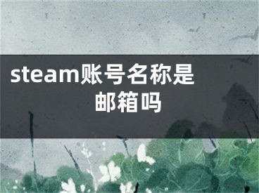 steam賬號名稱是郵箱嗎