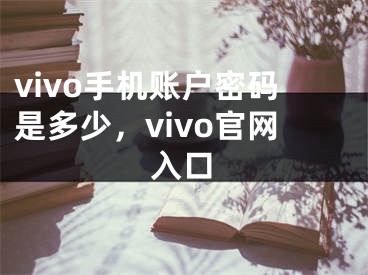 vivo手機(jī)賬戶密碼是多少，vivo官網(wǎng)入口