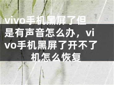 vivo手機(jī)黑屏了但是有聲音怎么辦，vivo手機(jī)黑屏了開(kāi)不了機(jī)怎么恢復(fù)