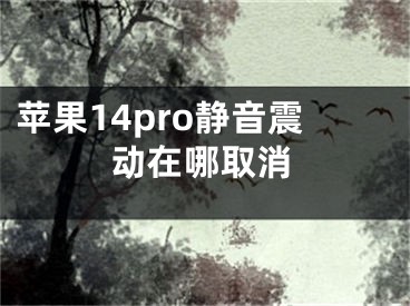 蘋果14pro靜音震動(dòng)在哪取消