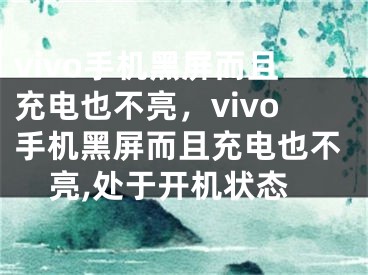 vivo手機黑屏而且充電也不亮，vivo手機黑屏而且充電也不亮,處于開機狀態(tài)