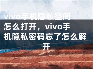 vivo手機隱私空間怎么打開，vivo手機隱私密碼忘了怎么解開