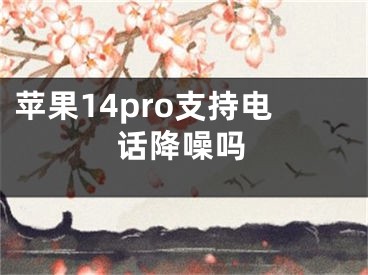 蘋果14pro支持電話降噪嗎