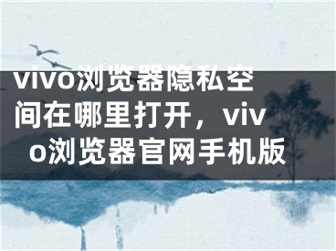 vivo瀏覽器隱私空間在哪里打開，vivo瀏覽器官網(wǎng)手機版