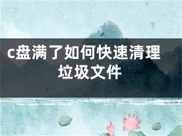 c盤(pán)滿(mǎn)了如何快速清理垃圾文件