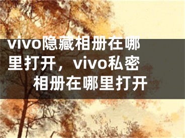 vivo隱藏相冊(cè)在哪里打開，vivo私密相冊(cè)在哪里打開