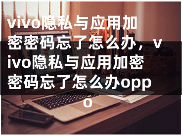 vivo隱私與應(yīng)用加密密碼忘了怎么辦，vivo隱私與應(yīng)用加密密碼忘了怎么辦oppo