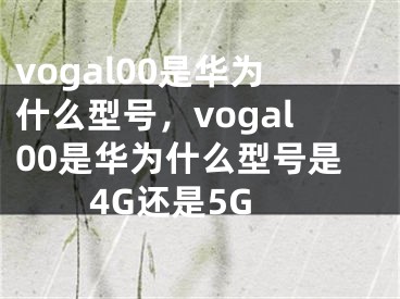 vogal00是華為什么型號，vogal00是華為什么型號是4G還是5G