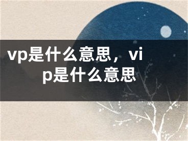 vp是什么意思，vip是什么意思