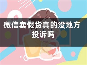 微信賣假貨真的沒地方投訴嗎