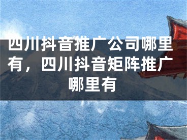 四川抖音推廣公司哪里有，四川抖音矩陣推廣哪里有