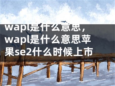 wapl是什么意思，wapl是什么意思蘋果se2什么時候上市