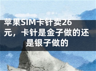 蘋果SIM卡針賣26元，卡針是金子做的還是銀子做的