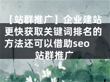 【站群推廣】企業(yè)建站更快獲取關(guān)鍵詞排名的方法還可以借助seo站群推廣