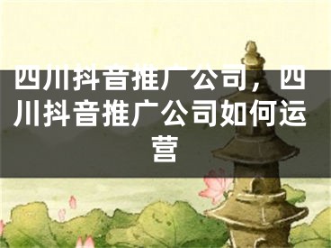 四川抖音推廣公司，四川抖音推廣公司如何運營