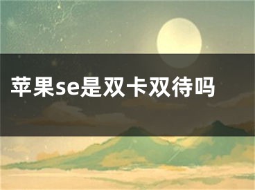 蘋果se是雙卡雙待嗎