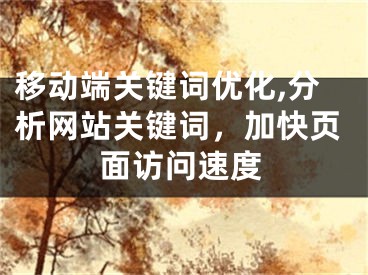 移動端關(guān)鍵詞優(yōu)化,分析網(wǎng)站關(guān)鍵詞，加快頁面訪問速度