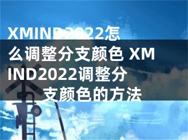 XMIND2022怎么調(diào)整分支顏色 XMIND2022調(diào)整分支顏色的方法