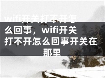 wifi開關(guān)打不開怎么回事，wifi開關(guān)打不開怎么回事開關(guān)在那里