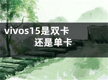 vivos15是雙卡還是單卡