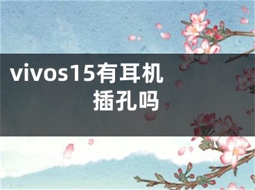 vivos15有耳機(jī)插孔嗎