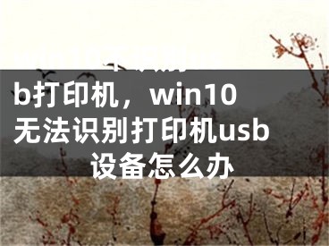 win10不識別usb打印機，win10無法識別打印機usb設備怎么辦