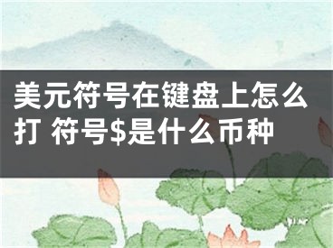 美元符號(hào)在鍵盤上怎么打 符號(hào)$是什么幣種