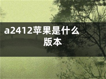 a2412蘋果是什么版本