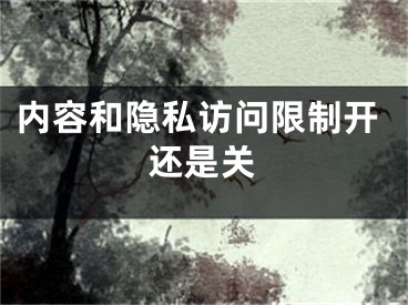 內(nèi)容和隱私訪問限制開還是關(guān)