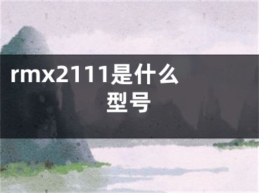 rmx2111是什么型號