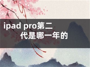 ipad pro第二代是哪一年的