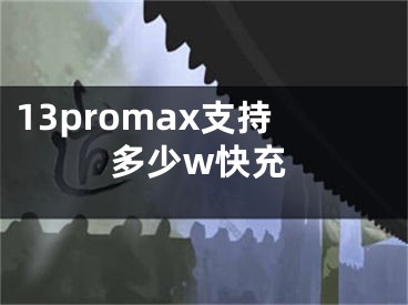 13promax支持多少w快充