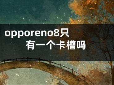 opporeno8只有一個卡槽嗎