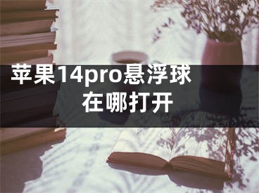 蘋果14pro懸浮球在哪打開